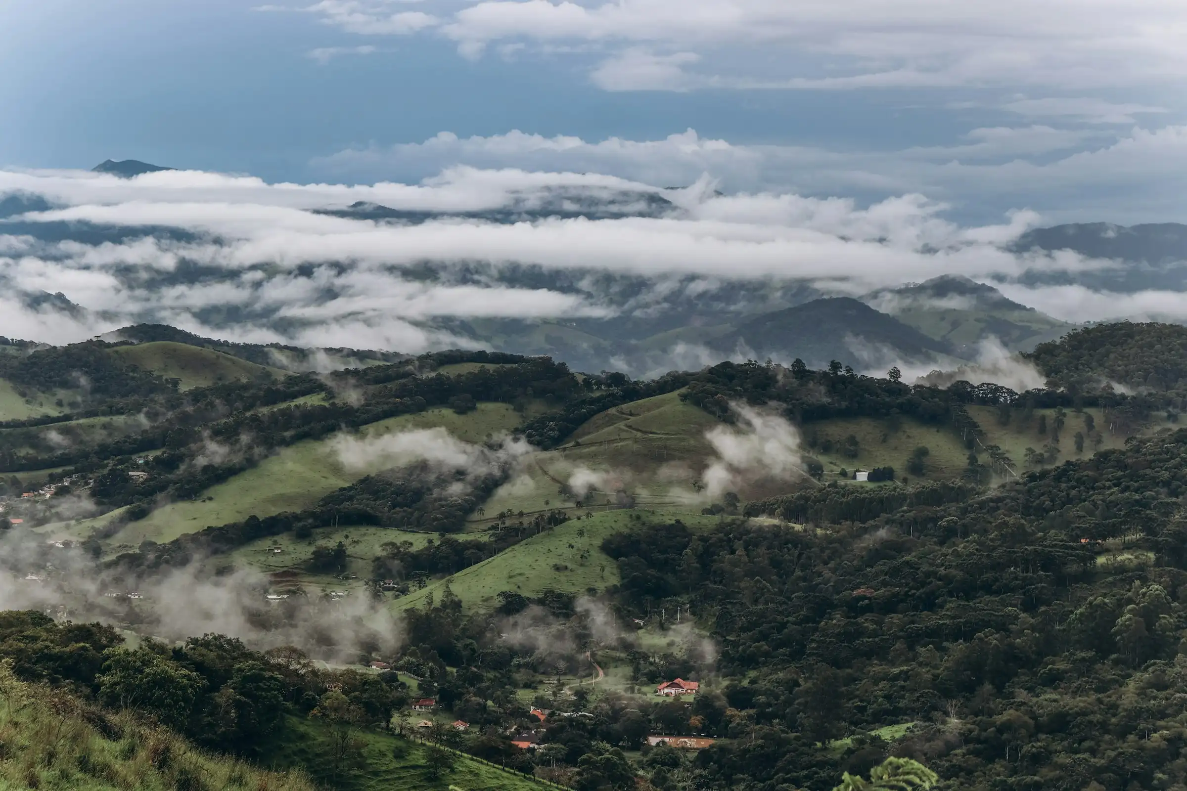 A Serra da Mantiqueira coberta de neblina, com araucárias, em Campos do Jordão